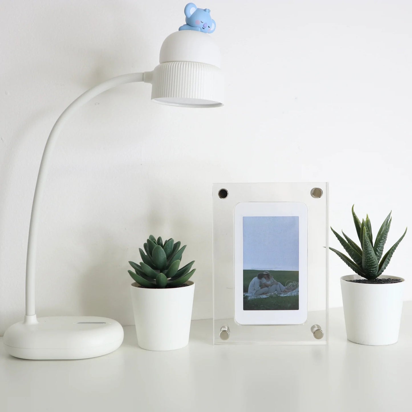 Digital Photo Frame